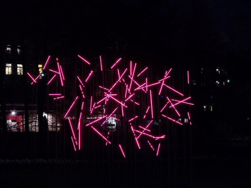 Bild 271.jpg